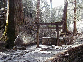 周りに背の高い木々が生えている場所の砂利道の奥にある二荒山神社別宮滝尾神社鳥居の写真