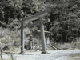 森の中に建つ石造りの旧奥社鳥居の写真