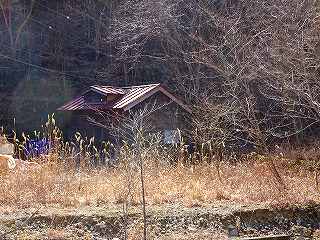 枯れた草木の間から見える赤いトタン屋根の本山坑を対岸から写した写真