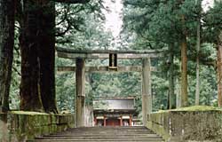 参道の両脇に参道に沿って背の高い杉の木が生えており、参道の奥には照宮の石鳥居が建っている写真