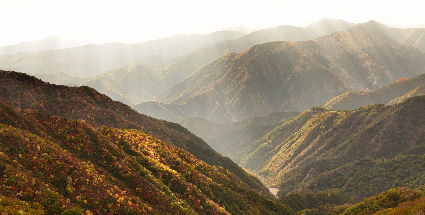 秋の山
