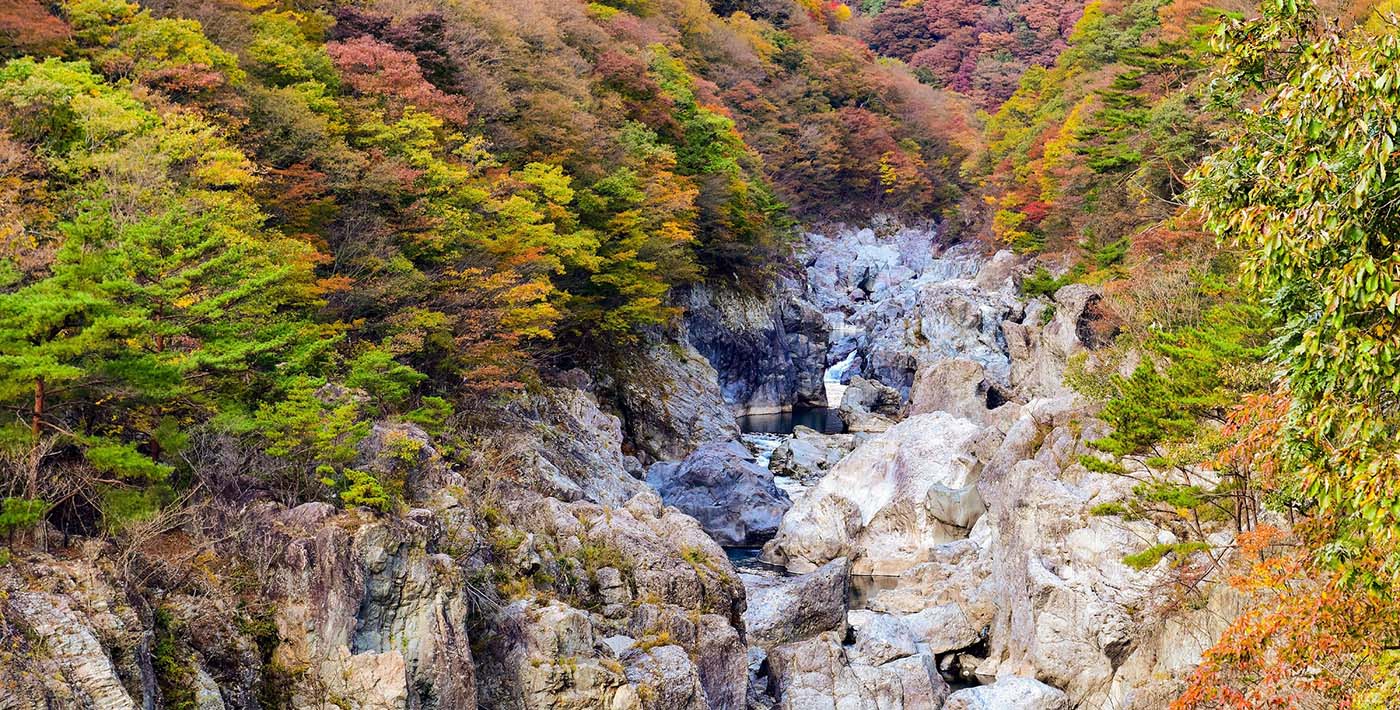 秋の藤原の紅葉