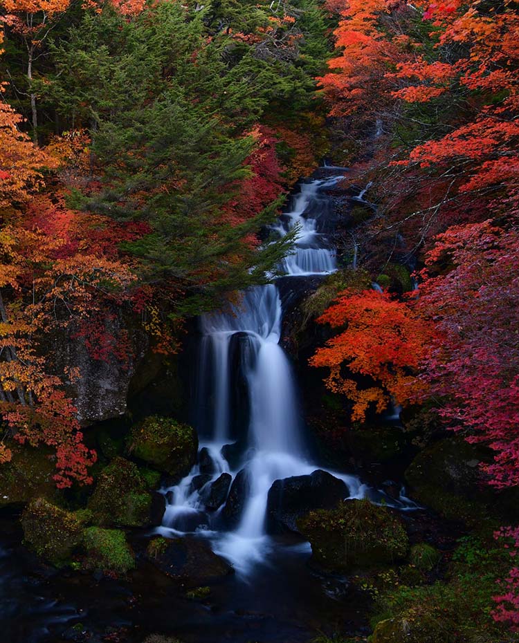 秋の日光の滝