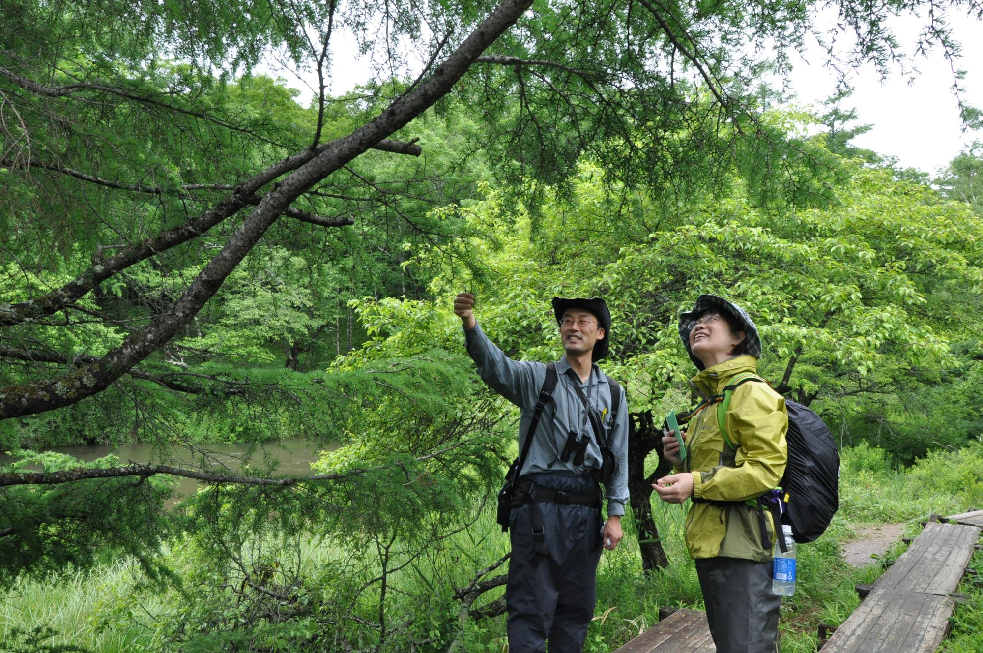 安倍さんがお客様に植物を紹介する様子