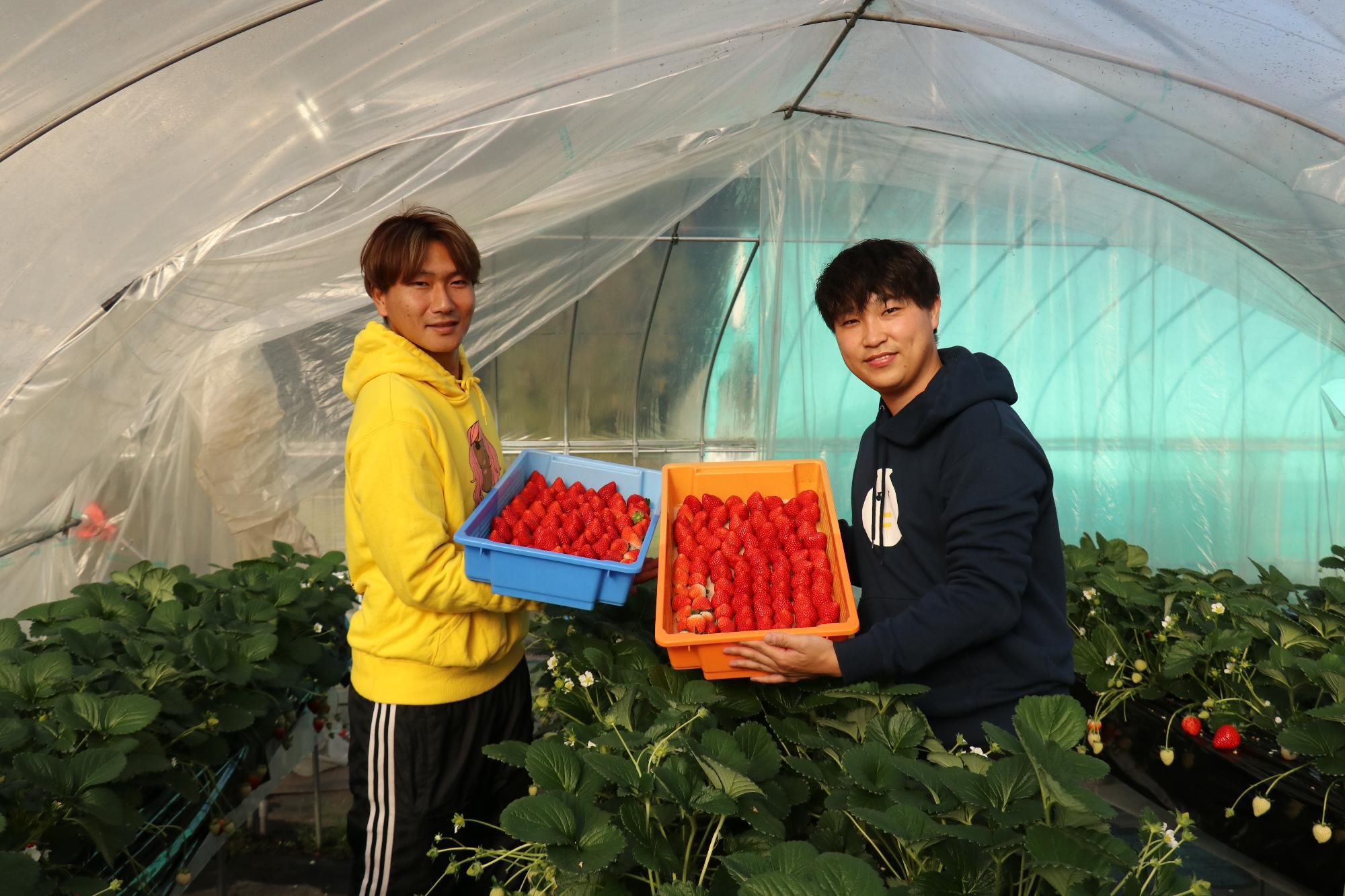 宮本さんと佐々木さん