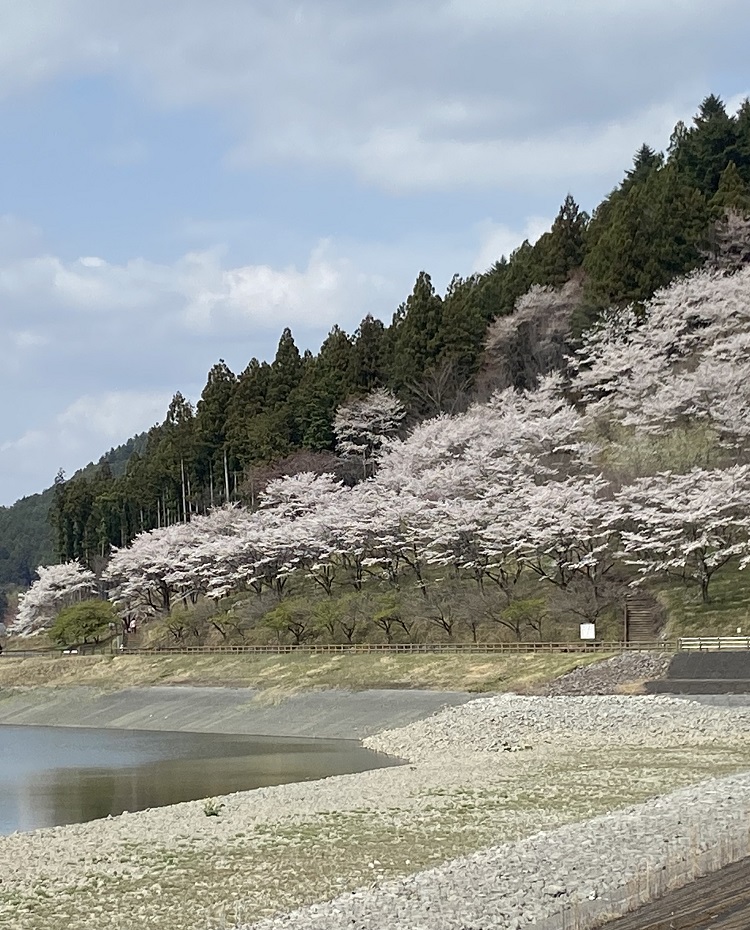 大室ダム