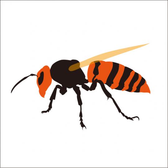 オレンジと茶色の縞々の胴体を持つスズメバチのイラスト