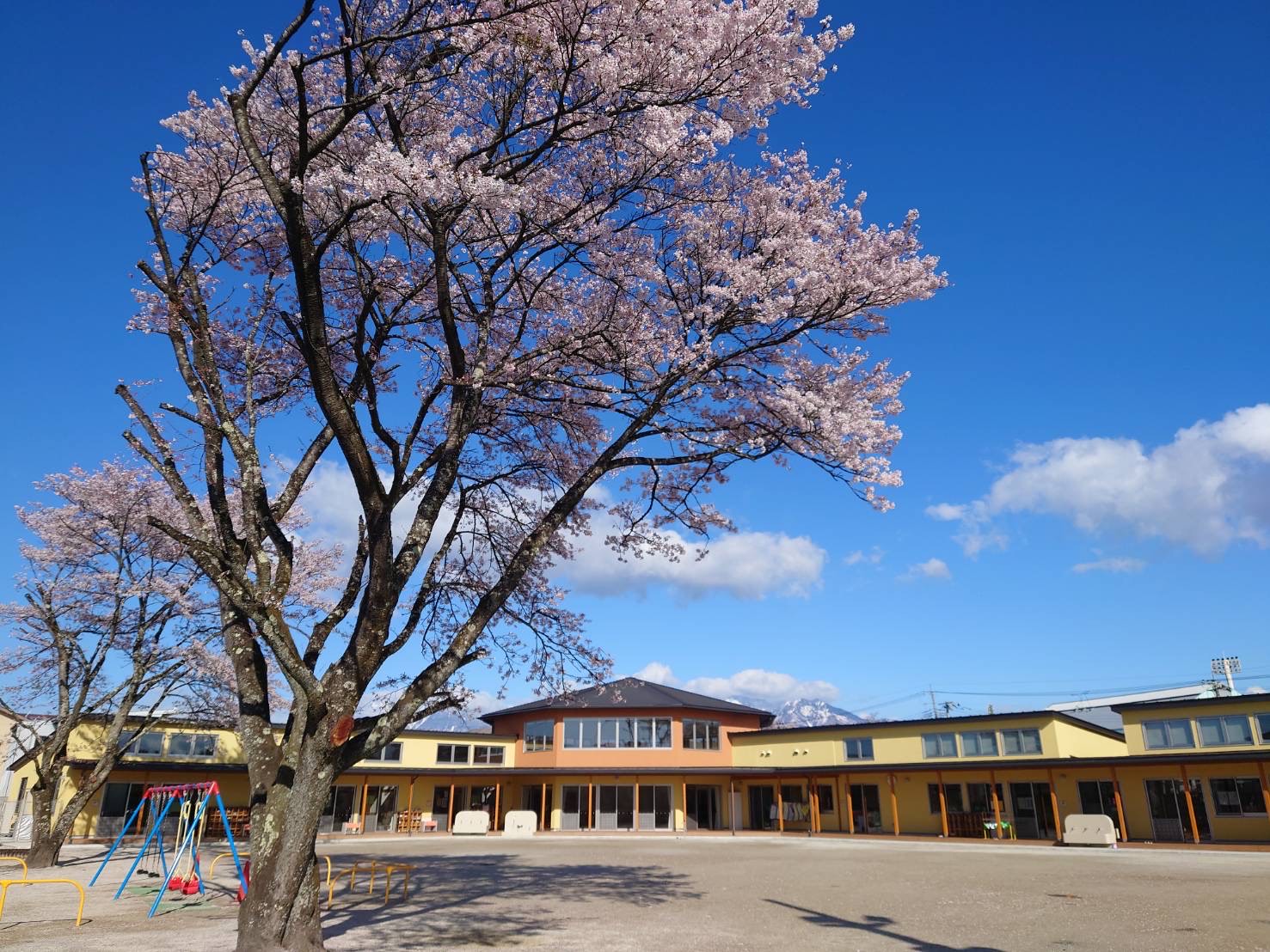 ohisama1