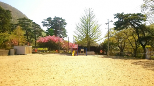 園の周りに木々が植えられ、一体になった滑り台とブランコが設置されている園庭の写真