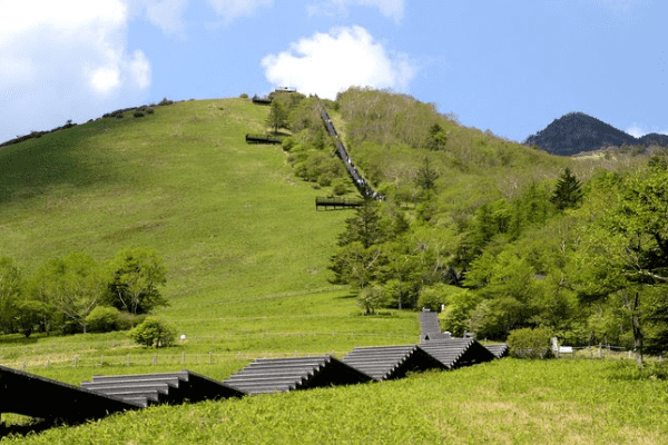 丸い緑の丘に1445段の階段が整備されている霧降高原キスゲ平園地の写真