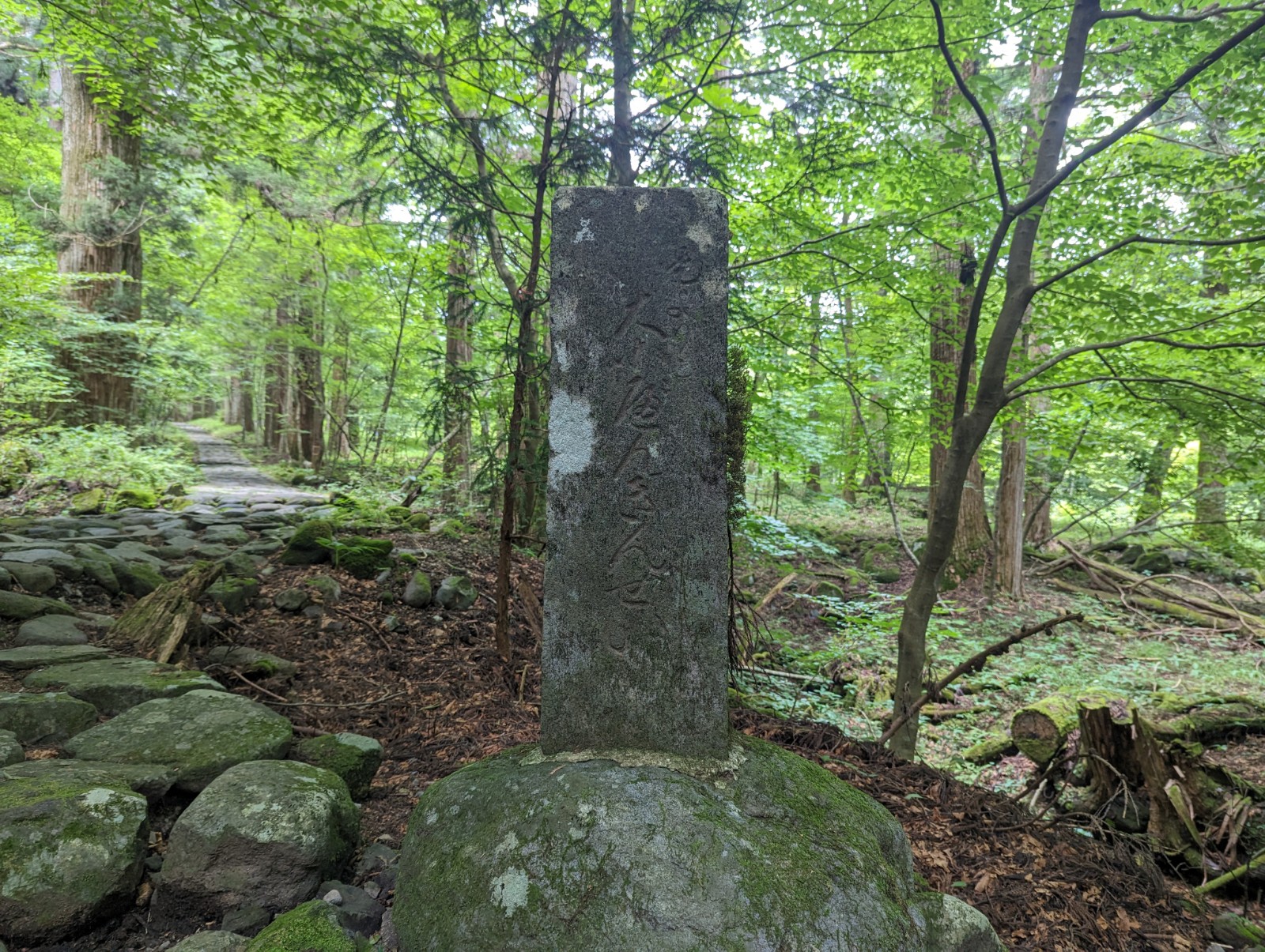 林の中に建つ石碑の写真