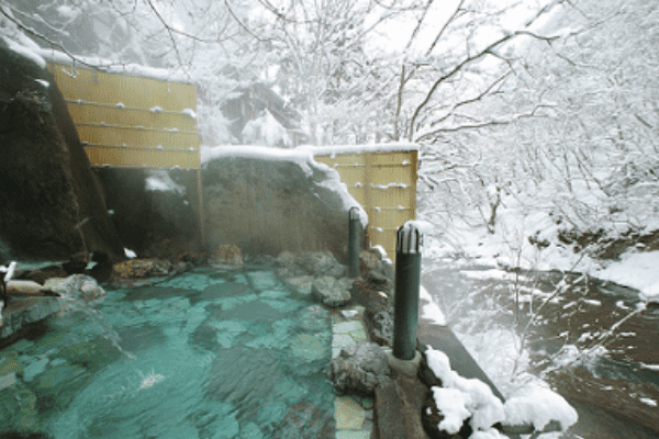 露天風呂から見える木々や周りの風景が真っ白な雪に覆われている写真