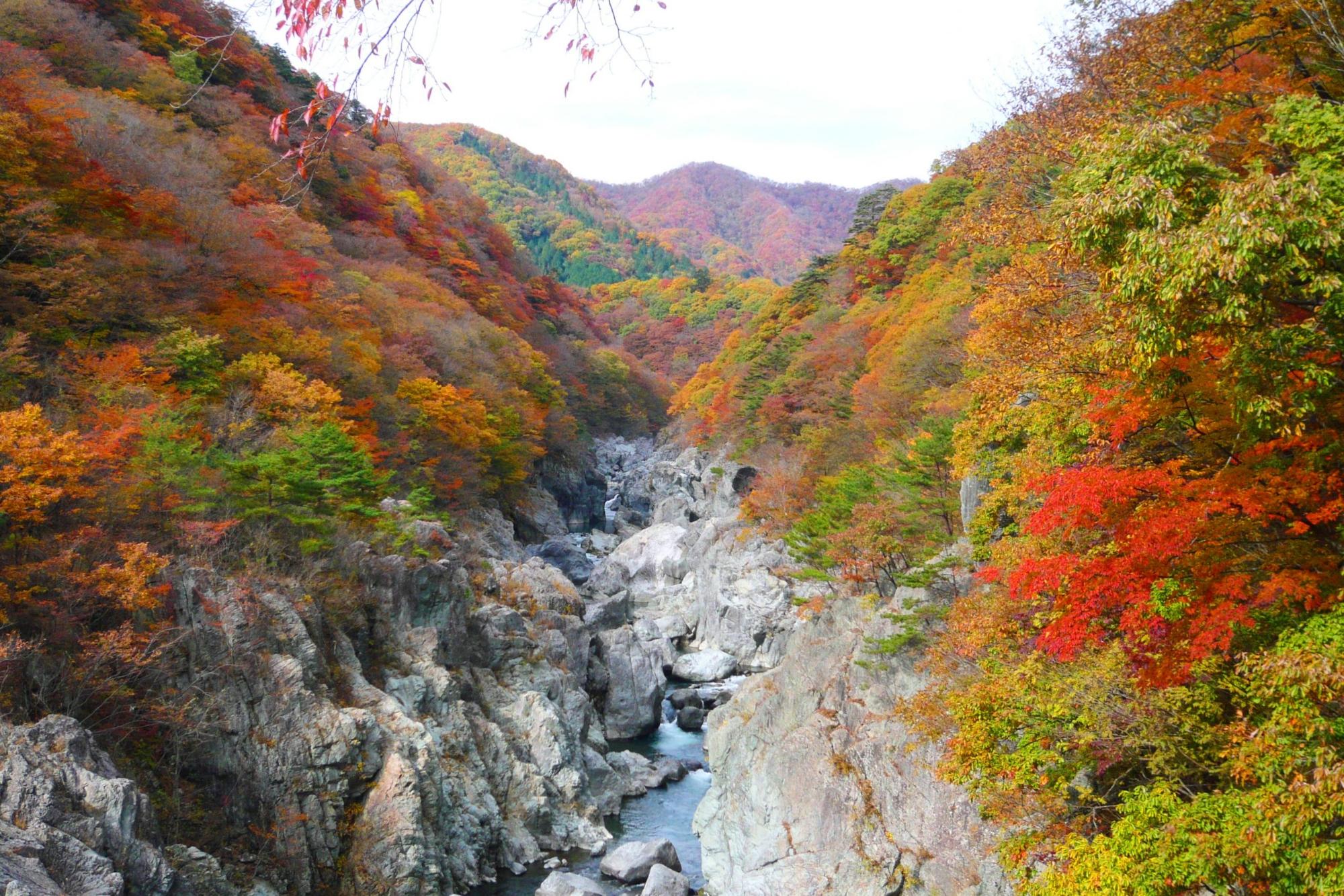 渓谷沿いには緑やオレンジ、赤に染まった樹木が並んでいる龍王峡の写真