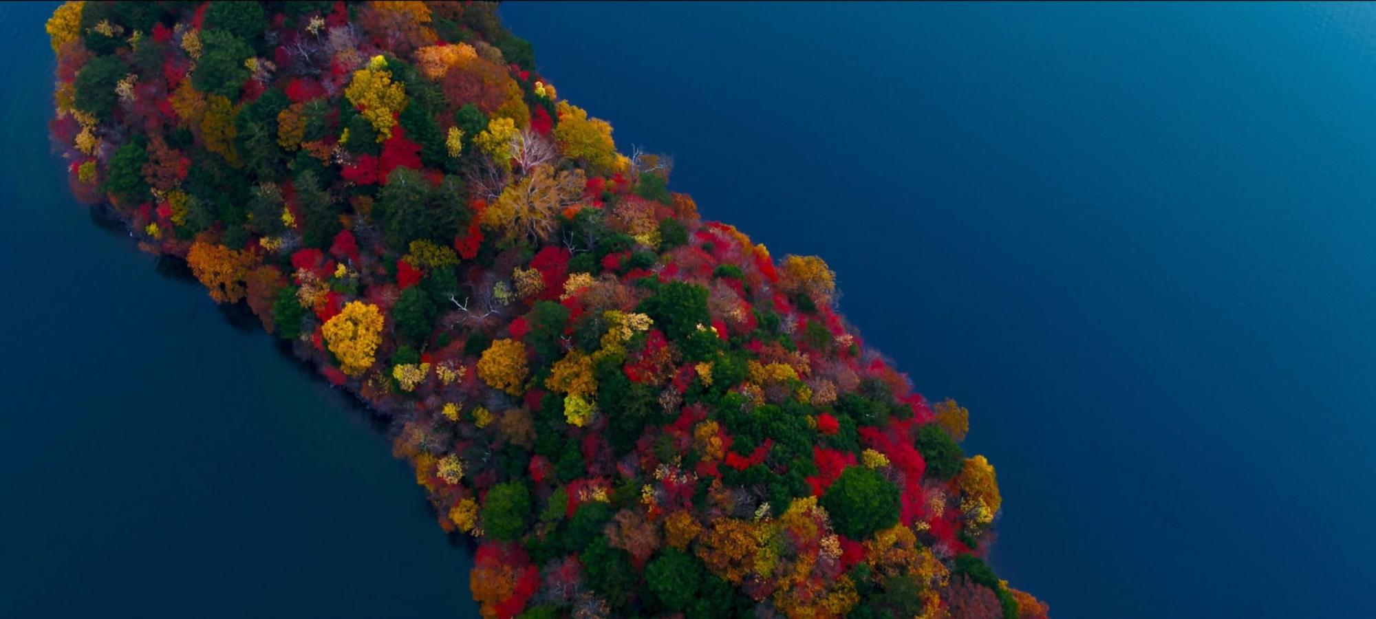 ブルーの海に浮かんでいる中央に緑の木やオレンジ、黄色、赤などに彩られた八丁出島を上空から写した写真
