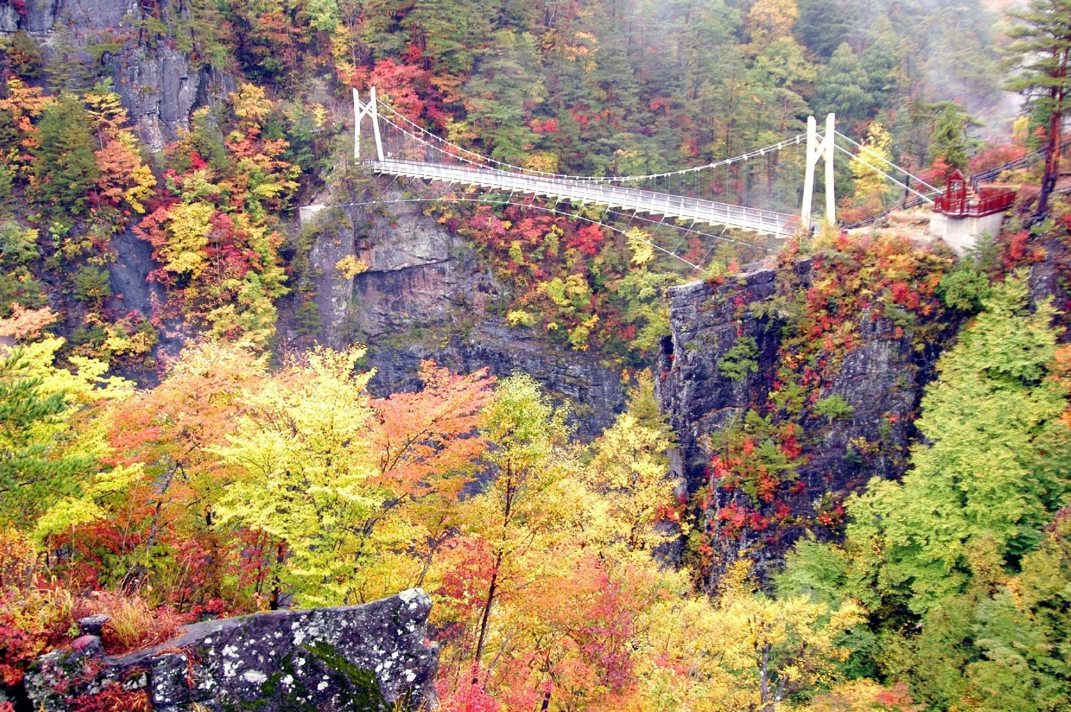 川俣ダム正面の岸壁に架けられた吊橋「渡らっしゃい吊橋」と断崖を遠目から写した写真