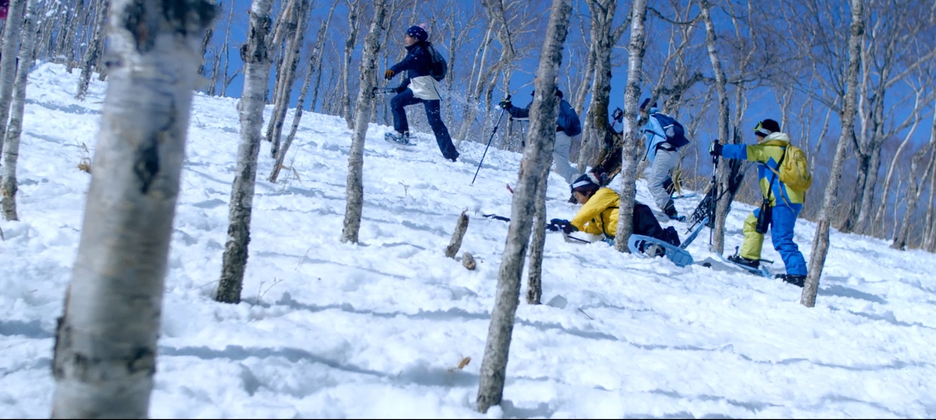 雪山の木の間をスキーで歩いたり、転んだりしている人たちを写した写真