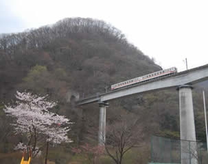 薬師の湯から高架の電車を見上げた風景の写真