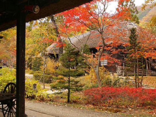 古民家の軒から望む紅葉の写真