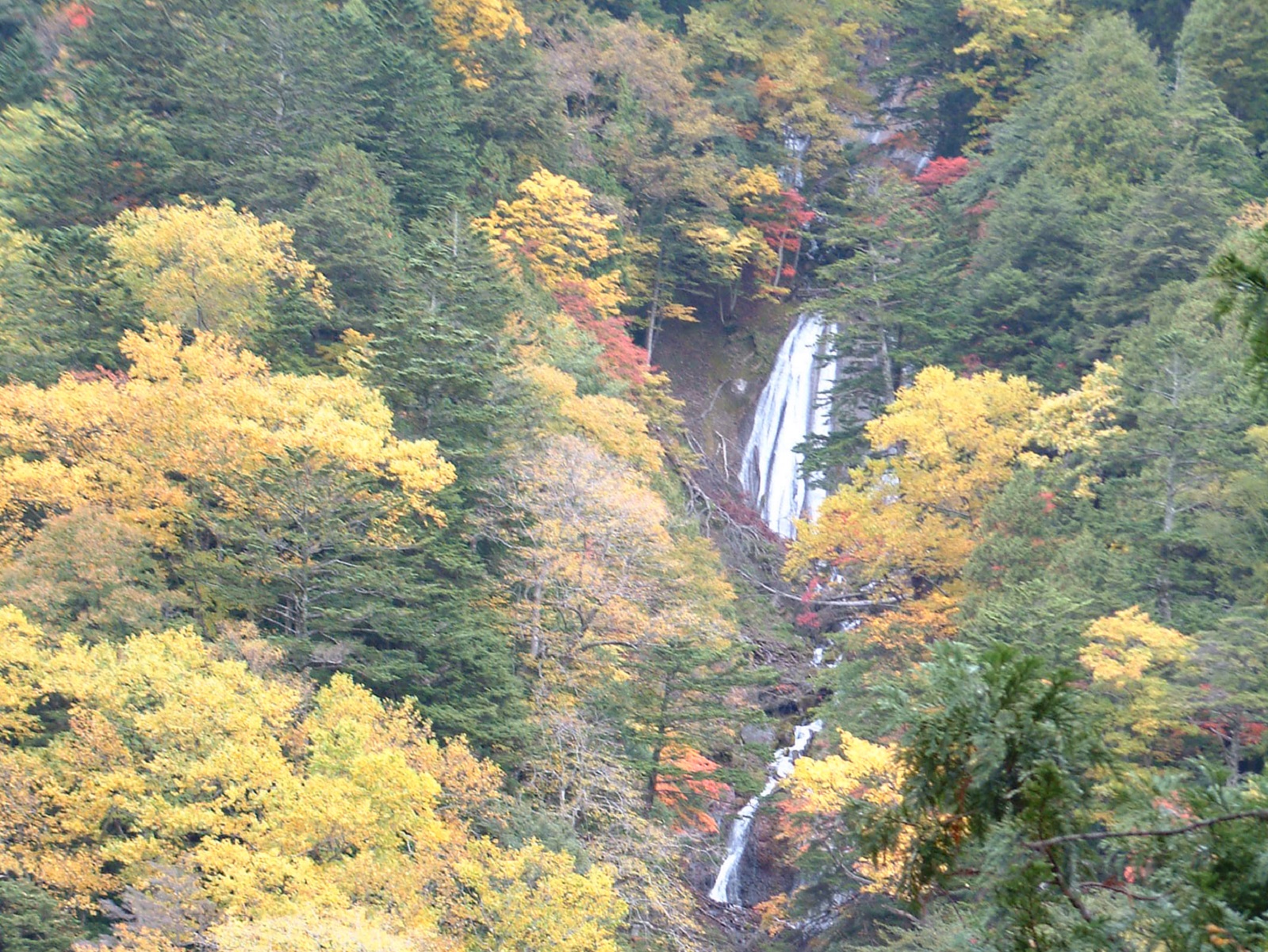 山々の木々が黄色や赤に色づき始めた奥に見えるヒナタオソロシの滝の写真