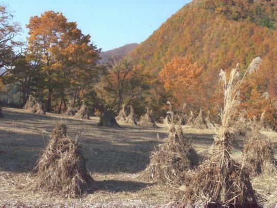 秋の山を背景に積み上げられた枯草の写真
