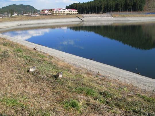 大室ダムの水面に前山や空が映っている様子の写真