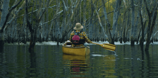 湖上の枯れ木の森を進むファンタジックカヌー