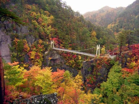 色とりどりの紅葉の中に移る渡らっしゃい吊橋の写真