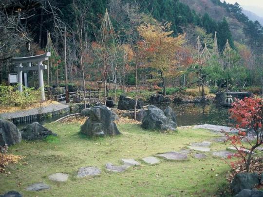 池に面した庭園の飛び石の写真