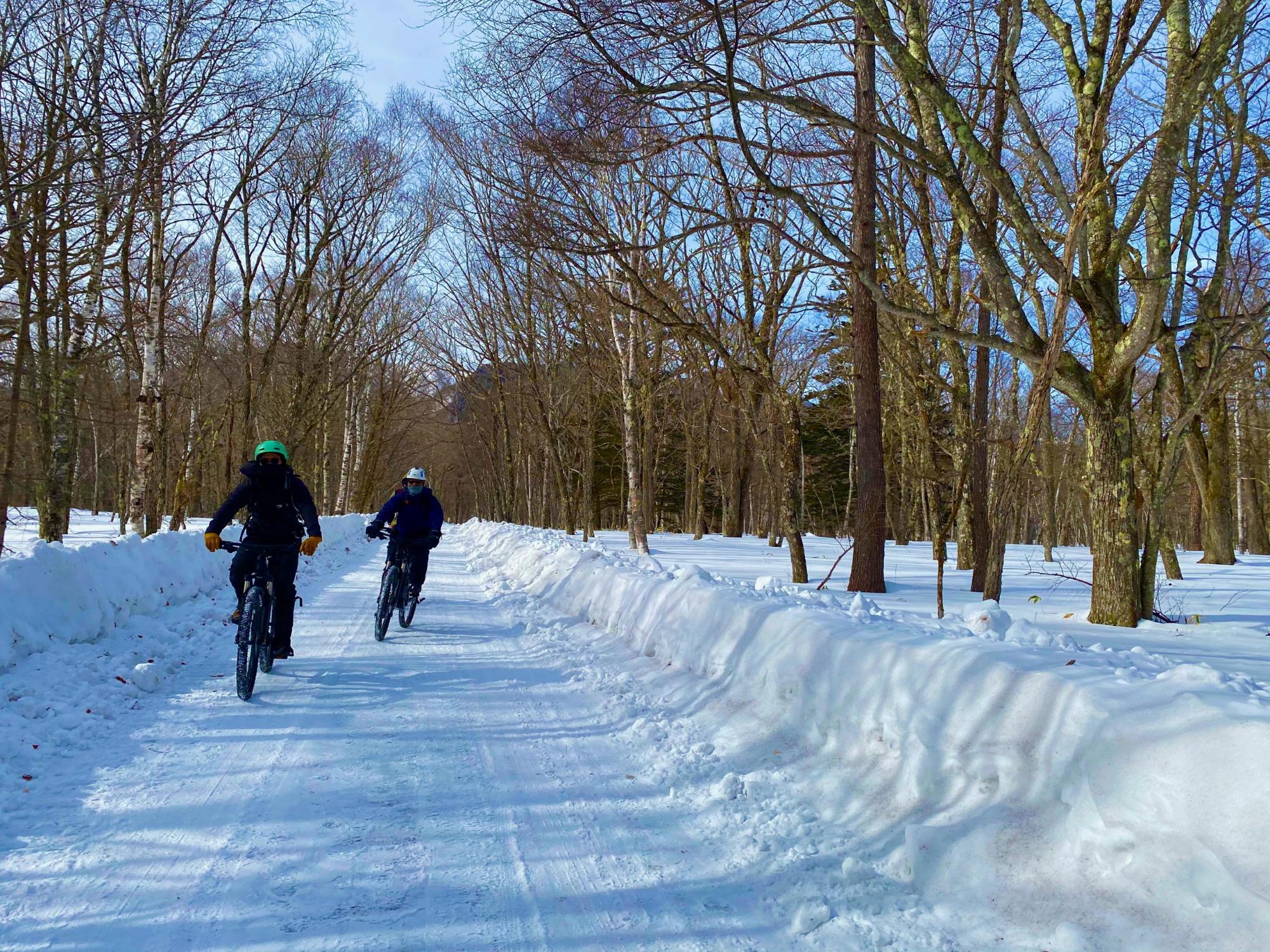 2名の人が雪道の林道を自転車に乗りスノーサイクリングを楽しんでいる写真