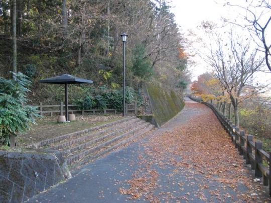 落ち葉の積もった道路と休憩所の写真