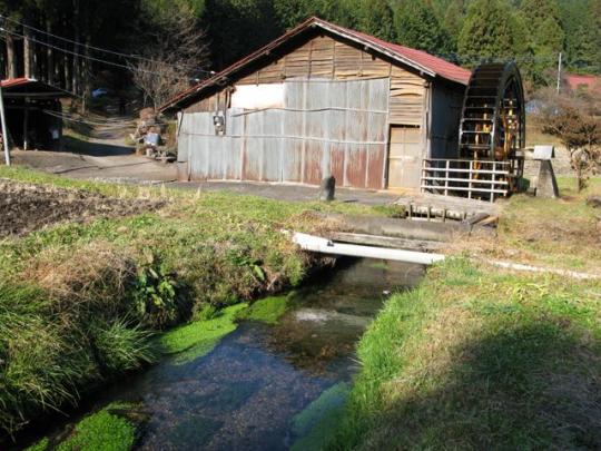 水草の生える水路から見た水車小屋の写真