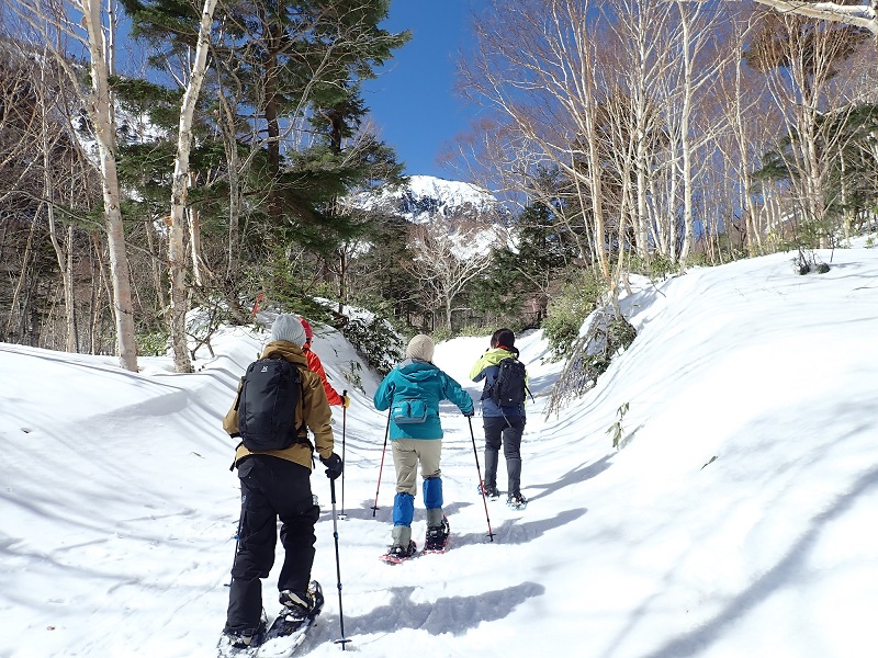 スノーシューを履いて1列に並んで雪道を歩いているスノーシューツアー参加者たちの後姿を写した写真