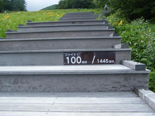 両脇に草花が咲いている木の階段に1445段中100段目と案内版が取り付けられている写真