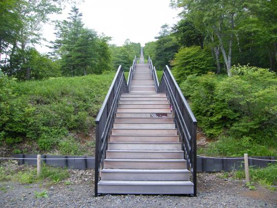 左右に頑丈な手すりがついており、両脇に緑に生い茂った木や草花が生えている700段目からの頂上まで続く真っすぐな階段の写真