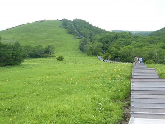 緑に生い茂った草木や黄色の花を見え、遠くには園地の丘や頂上まで続く階段を望む400段あたりからの風景写真