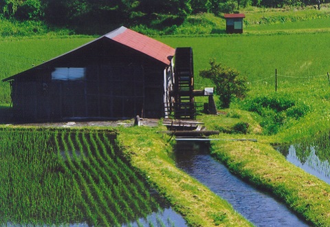 濃淡様々な緑の草木の景色の中心には横に水車がある小屋が建ち、水が流れているのどかな風景を映した写真