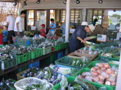 かごやコンテナに新鮮な野菜が並び、野菜を手に取って見ている人、かごにたくさんの野菜を入れ買っている人でにぎわう農産物直売所の写真