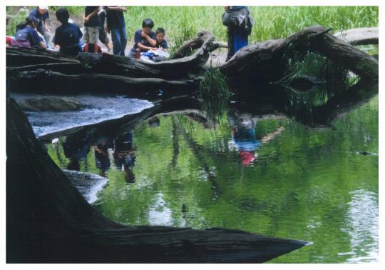倒木の上にたたずんでいる人たちと池の写真