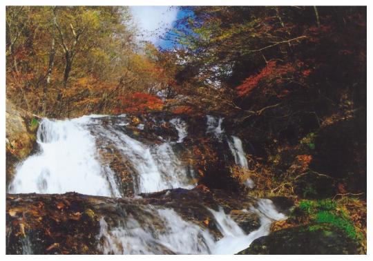 なだらかな岩肌を幅広く流れ落ちる玉簾の滝の写真