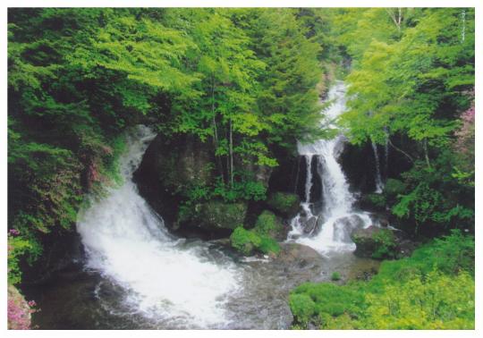緑の木々の中で二つの滝が流れ落ちる竜頭の滝の写真