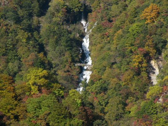 紅葉の混じる森の中を流れ落ちる白雲の滝を遠くからとらえた写真