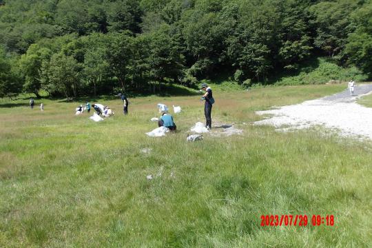 湯元スキー場周辺の雑草を、袋を持ち、複数の人が雑草を除去している写真