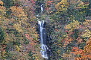 紅葉の木々の間を複雑な筋を引いて流れ落ちる蛇王の滝