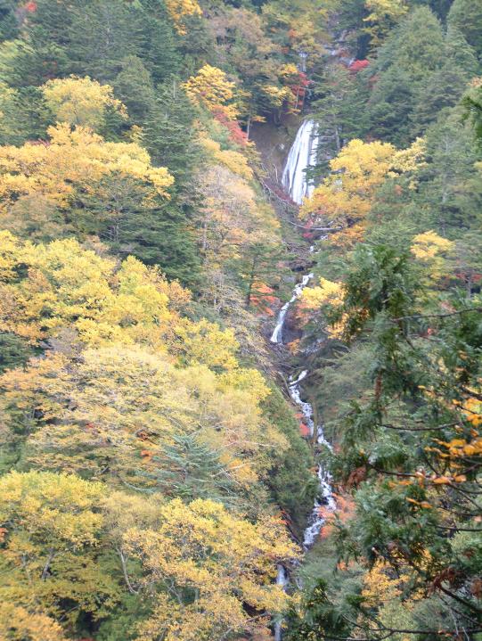 高揚した木々の間を流れ落ちるヒナタオソロシの滝の写真