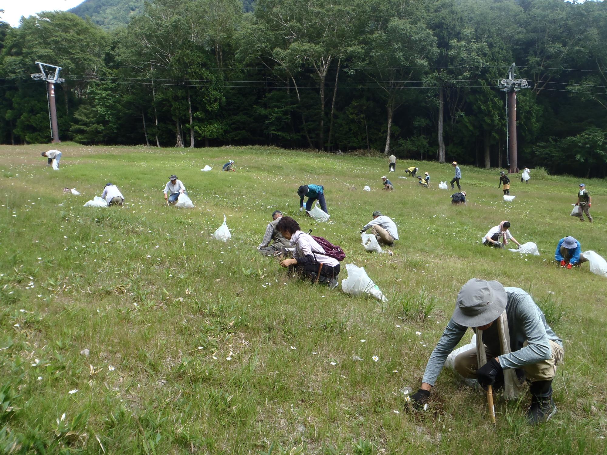 湯元スキー場での作業の様子