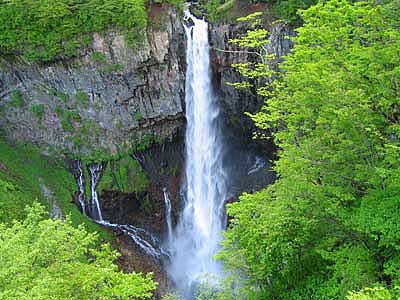 緑が生い茂る谷間から気高い滝が激しく流れている写真