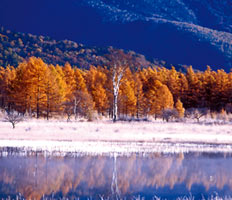 黄色の木々や山々を背景の湖の写真
