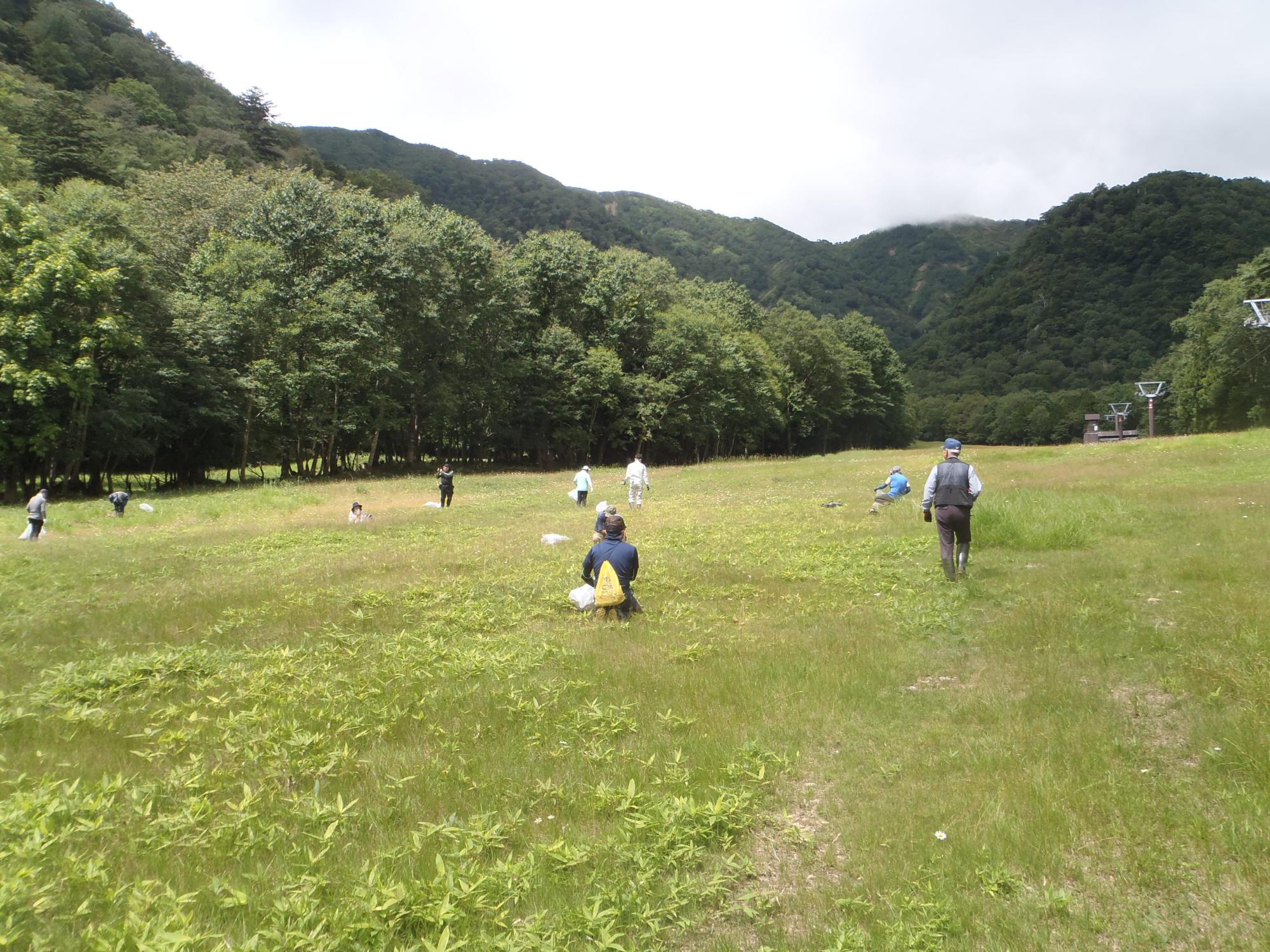 湯元スキー場での作業の様子