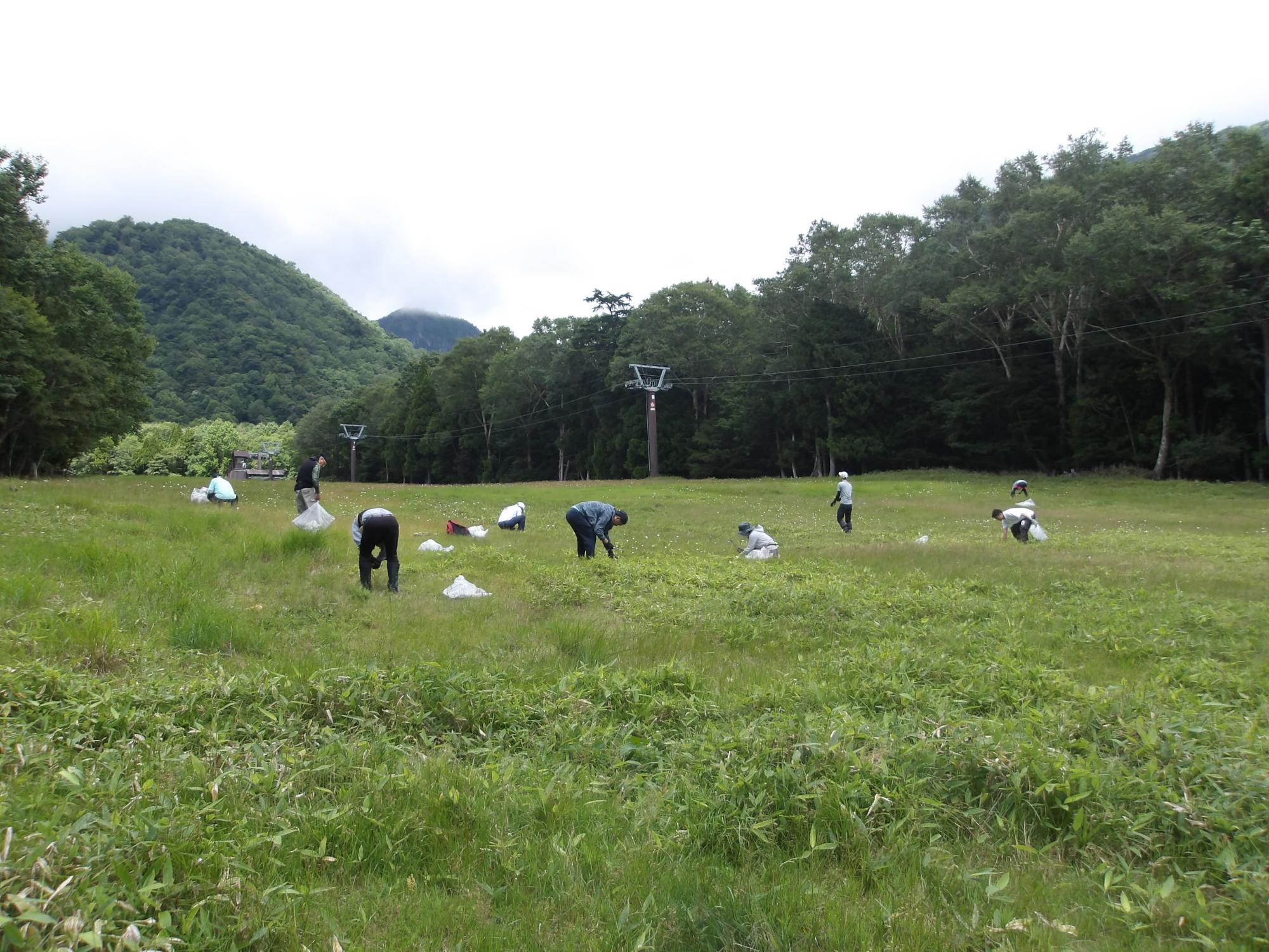 湯元スキー場での作業の様子