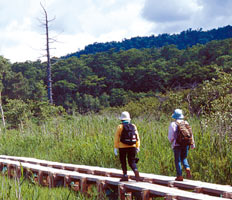 山を背景に2人の人が湿原の木の橋の上をハイキングをしている様子の写真